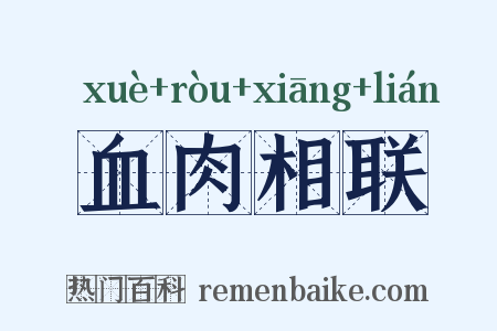 血肉相联是什么意思的图片